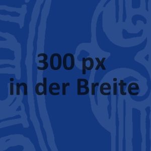 platzhalter-300x-breite-cover